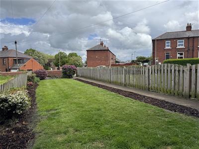 Picture 14